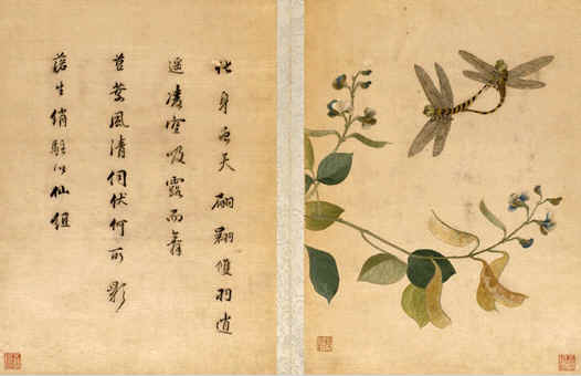 《扁豆蜻蜓圖》,顧繡宋元名跡之七，上海顧繡，上海刺繡名作